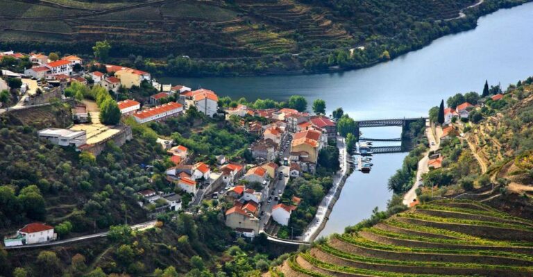 Douro Valley: 30 Minutes Private Airplane Tour