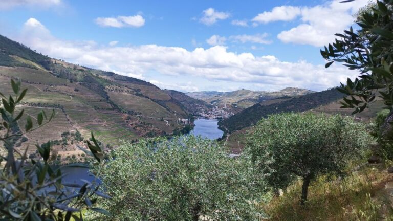 Douro Valley Tour With Wine Tasting Boat Cruise & Suprises..