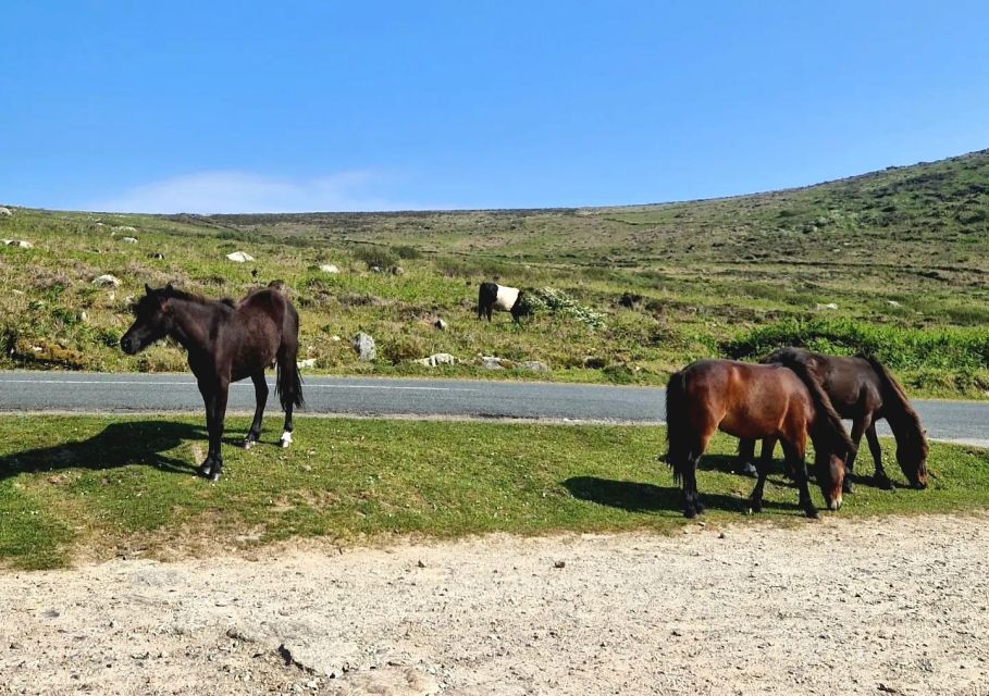 Exclusive Full Day Guided Tour - Lizard and West Cornwall - Tour Highlights