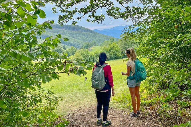 Exploring the Gutenstein Alps - Hiking in the Gutenstein Alps