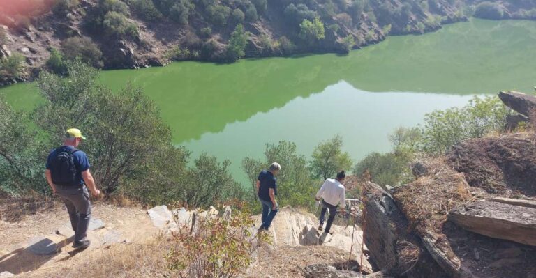 Foz Côa & Douro Private Tour: Rock Carvings and Superb Views