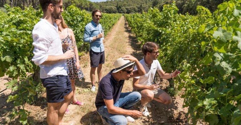 From Aix-en-Provence: Wine Tour in Cezanne Countryside