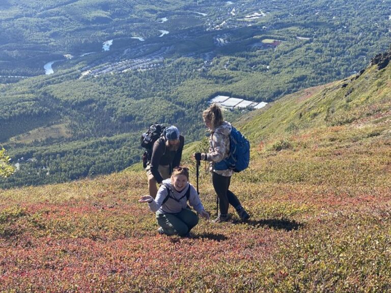 From Anchorage: Chugach State Park Guided Alpine Trek