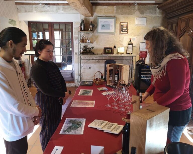 From Bordeaux: Saint-Émilion Half-Day Trip With Wine Tasting