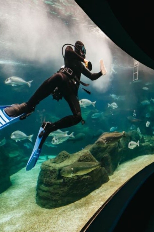 From Chania: CretAquarium, Heraklion City Tour - Tour Details