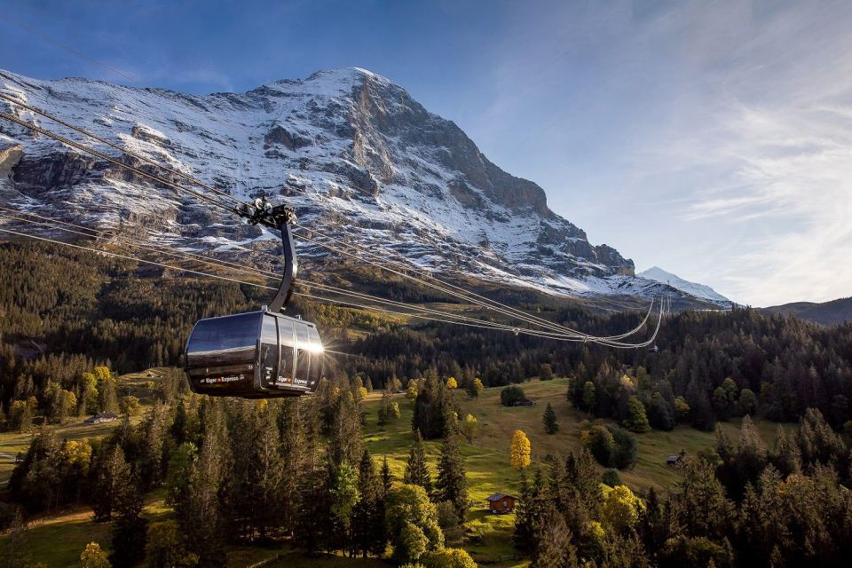 From Interlaken: Day Trip to Jungfraujoch by Bus and Train - Activity Highlights