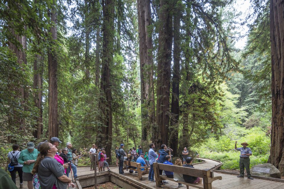 From San Francisco: Muir Woods, Sausalito and Alcatraz Tour - Tour Details