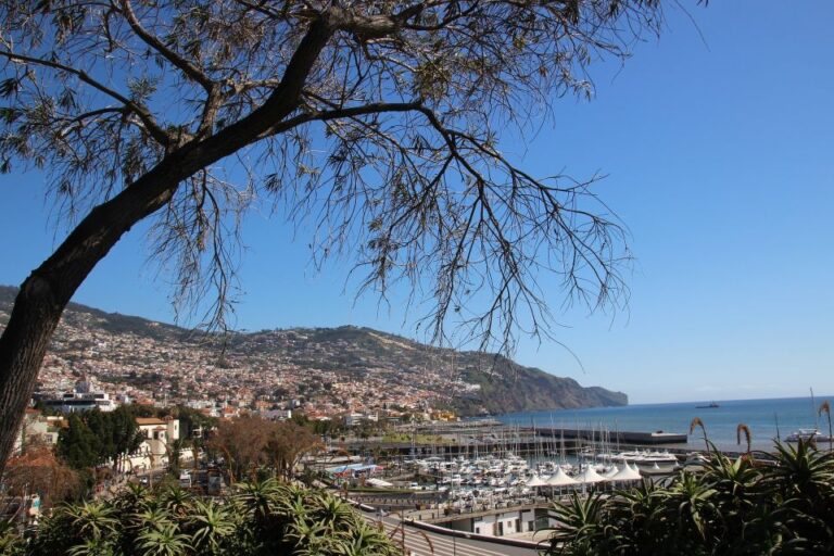 Funchal: Private Tour With a Local Guide