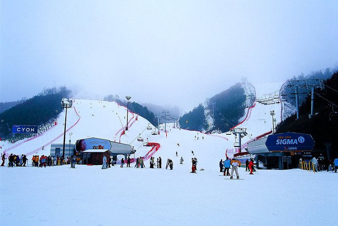 Gangchon Elysian Ski Day Trip From Seoul