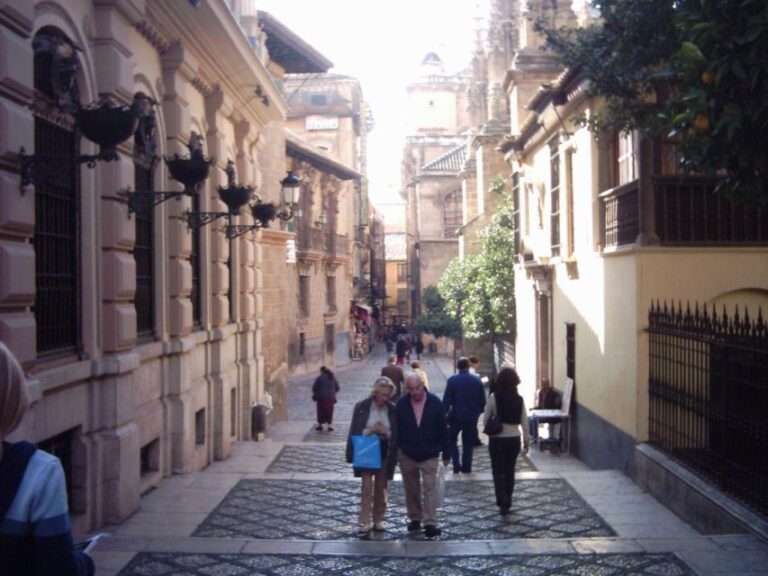 Granada (Albaicín) Private Guided Walking Tour