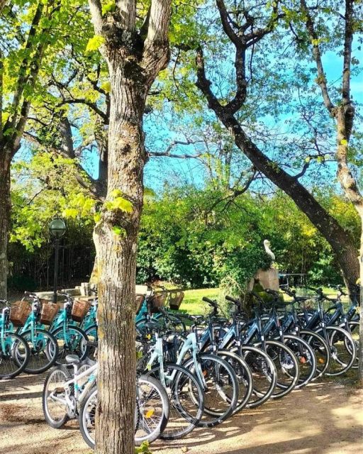 Greoux-les-Bains: Bike Hire