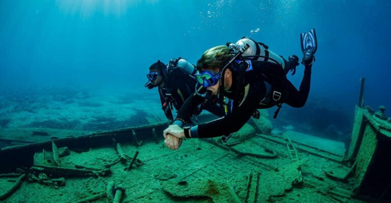 Half Day Dive Trip for Certified Divers