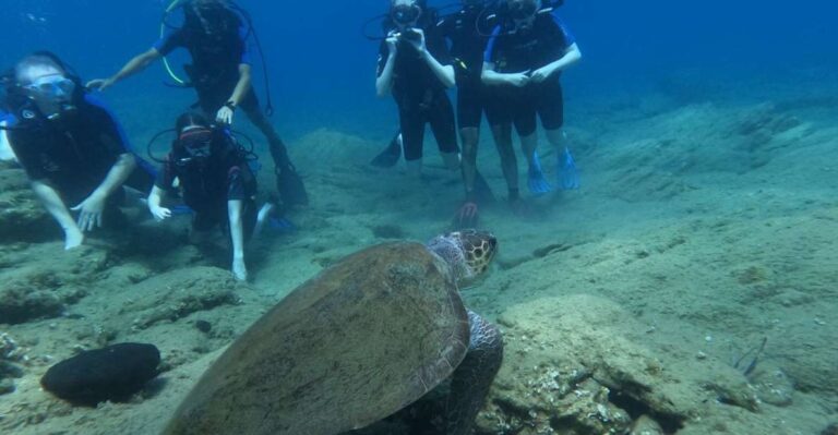 Heraklion: Beginners Intro Dive W/2 Dives With Transfer.