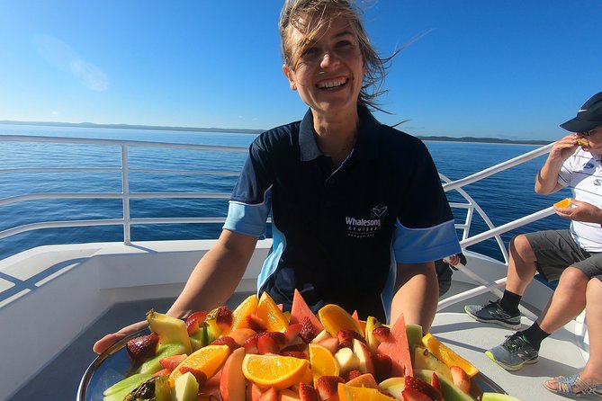 Hervey Bay Whale Watching Experience