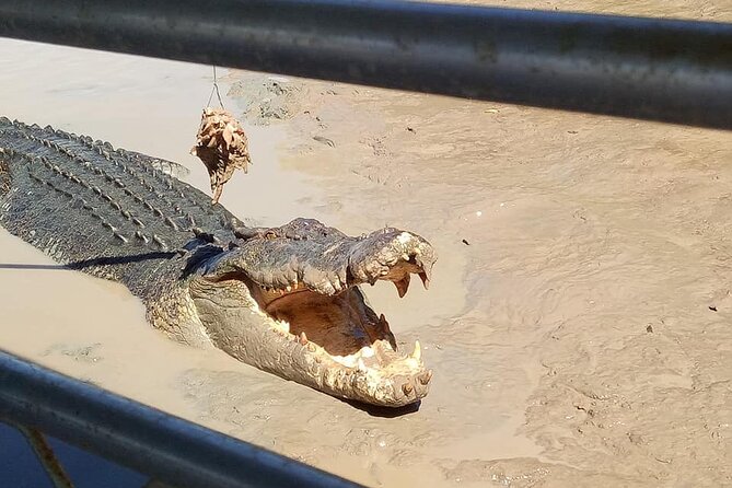 Litchfield National Park & Jumping Crocodile Cruise, 4wd, Max 6 - Exploring Litchfield National Park