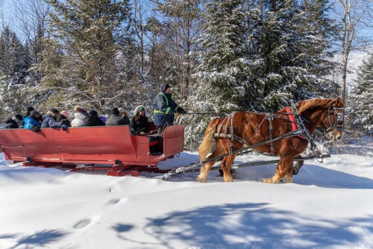 Mont-Tremblant: Sleigh Ride W/ Storytelling & Hot Chocolate