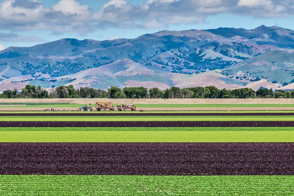 Monterey County Salinas Valley Farm Tour - Activity Description