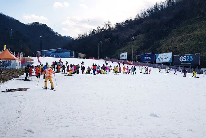 Nami Island + Ski Tour - Tour Overview and Details