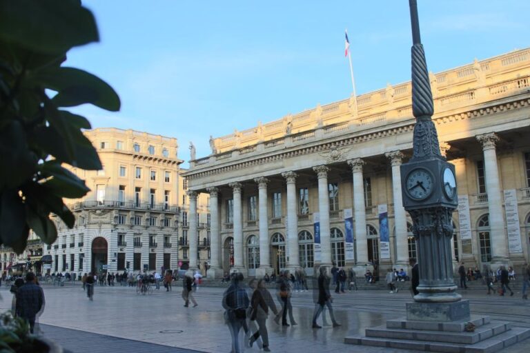 Panoramic Bordeaux Tour in a Premium Vehicule With a Guide