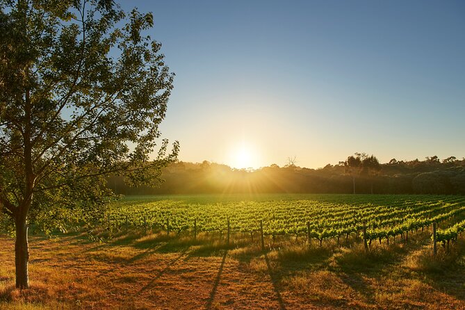 Private Barrel Hall Wine Tasting in the Margaret River Region