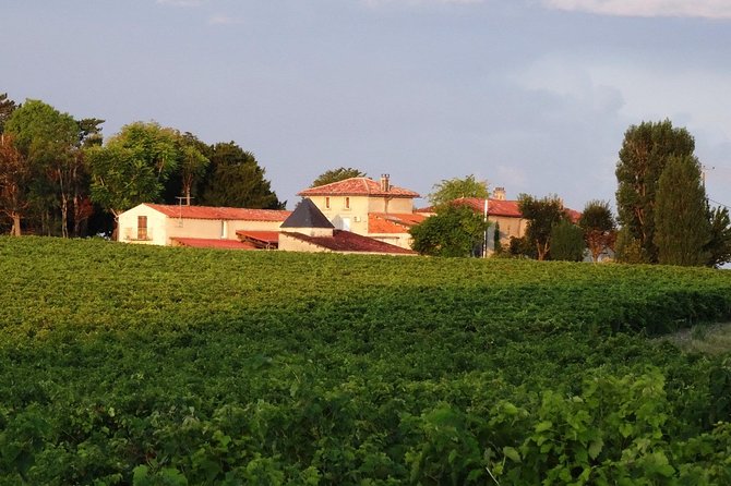 Private Day-Tour From Angouleme: Facets of Cognac : Vine to Glass - Tour Highlights