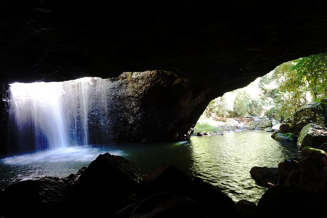 Rainforest & Waterfalls Experience - Discovering Springbrook National Park