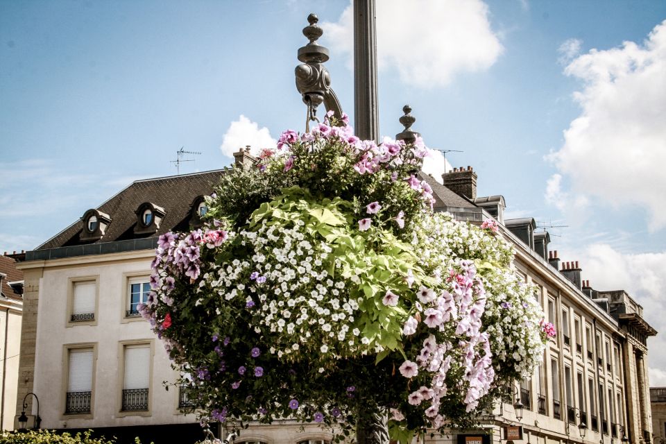 Reims: First Discovery Walk and Reading Walking Tour - Activity Details