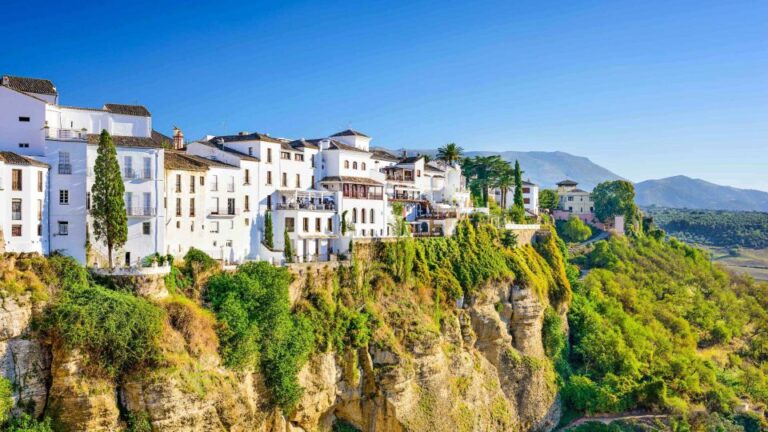 Ronda Winery Tour From Seville