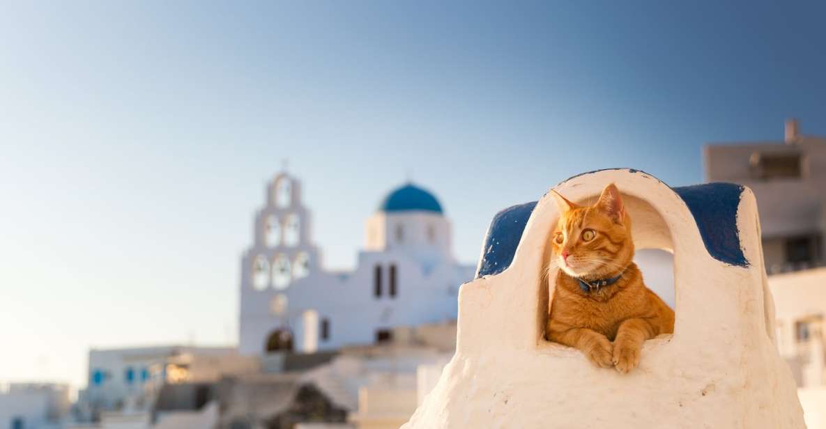 Santorini: Instagram Highlights Tour With a Photographer - Tour Details