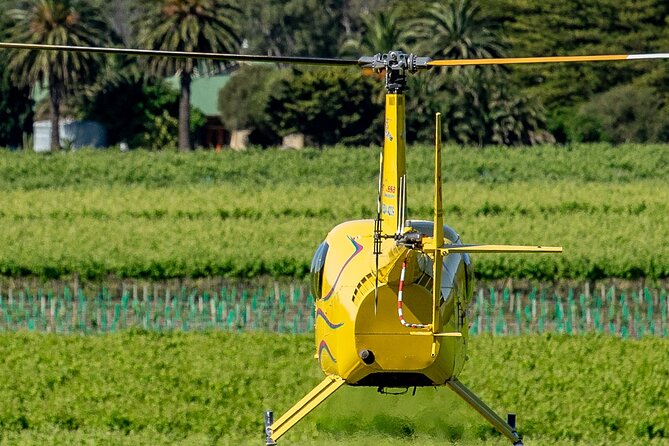 Southern Barossa & Reservoirs: 15 Minute Scenic Flight