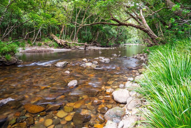 Tablelands & Kuranda Rainforest Adventure Tour With Lunch & Swim