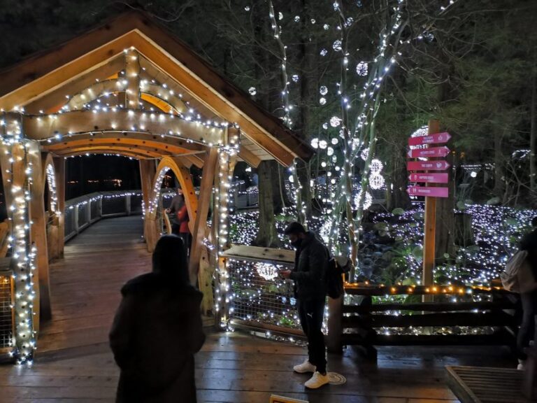 Vancouver: Christmas Tour With Light Festival Entrance