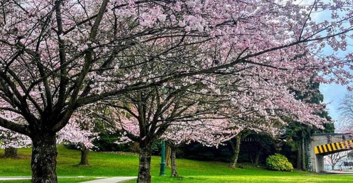 Vancouver City Tour With Cherry Blossom Festival Private - Tour Details