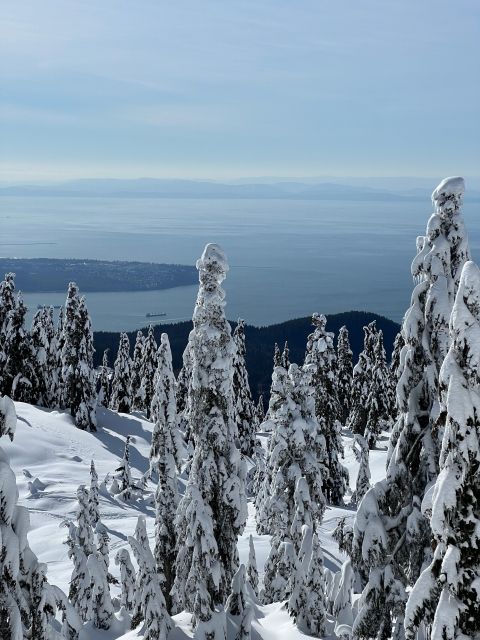 Vancouver: North Shore Mountains Snowshoeing With Transfer