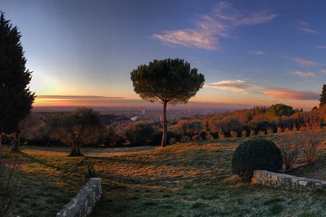 Wine Tasting With Panoramic View of Verona - Experience Details