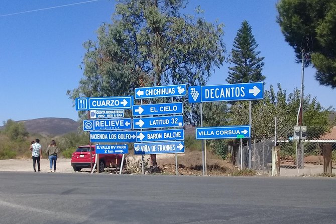 Wine Tours and Driver Service Through Valle De Guadalupe, Ensenada B.C. Mexico