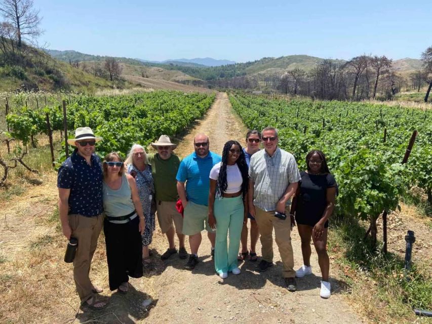 11 Course Lunch, Wine Tasting & Cooking Mastery in Rhodes - Educational Viticulture and Winemaking Journey