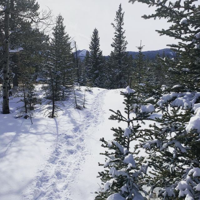 Banff: Best of Banff Nature Walk - 2hrs - Tour Inclusions