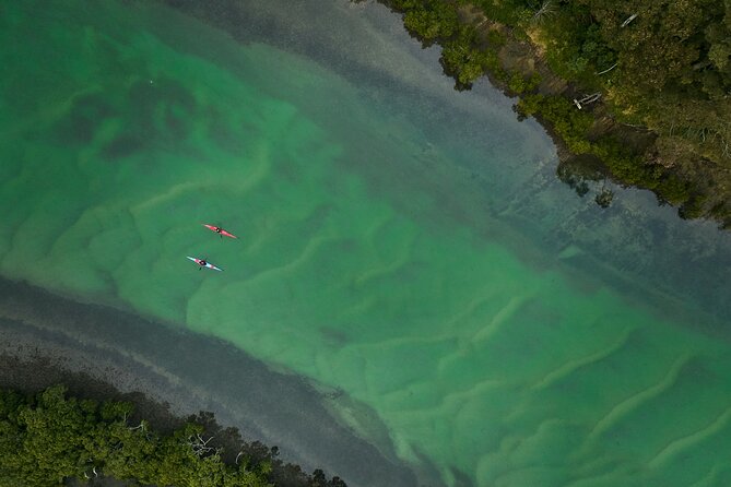 Bermagui River Kayak Tour - What to Expect on Tour