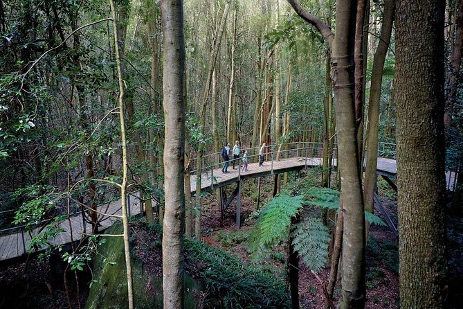 Blue Mountains PRIVATE Day Tour With Wildlife Park. - Wildlife Encounters at Featherdale