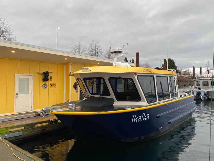 Campbell River: Whale Watching Covered Boat Tour With Lunch - Experience