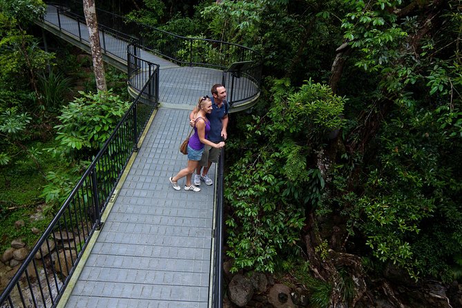 Cape Tribulation, Mossman Gorge and Daintree Rainforest Day Tour - Pickup and Tour Logistics