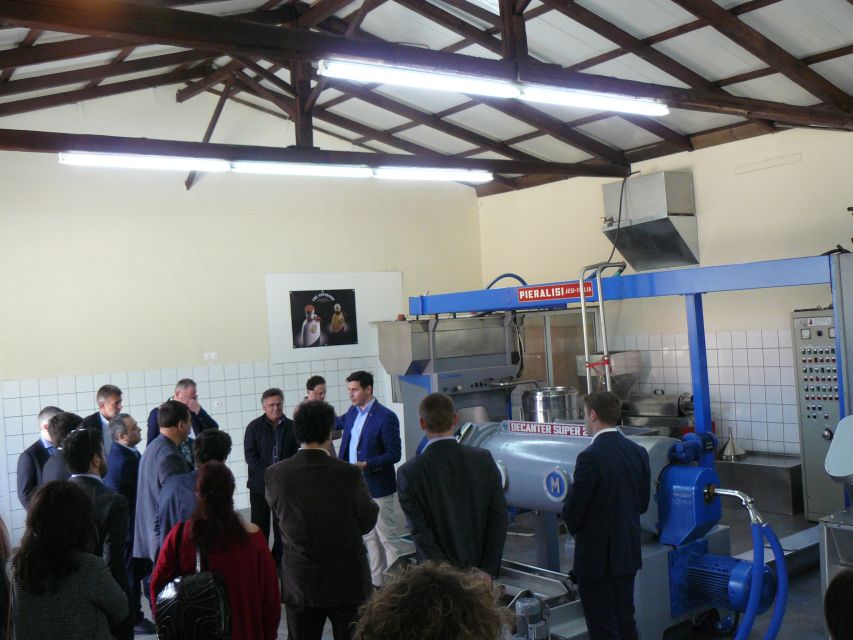 Corfu: Olive Oil Experience - The Governors Olive Mill - Experience Highlights