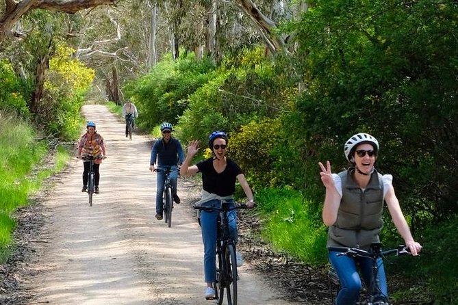 Discover Mclaren Vale on Ebikes - Full Day - Wine Tasting and Pizza Delight