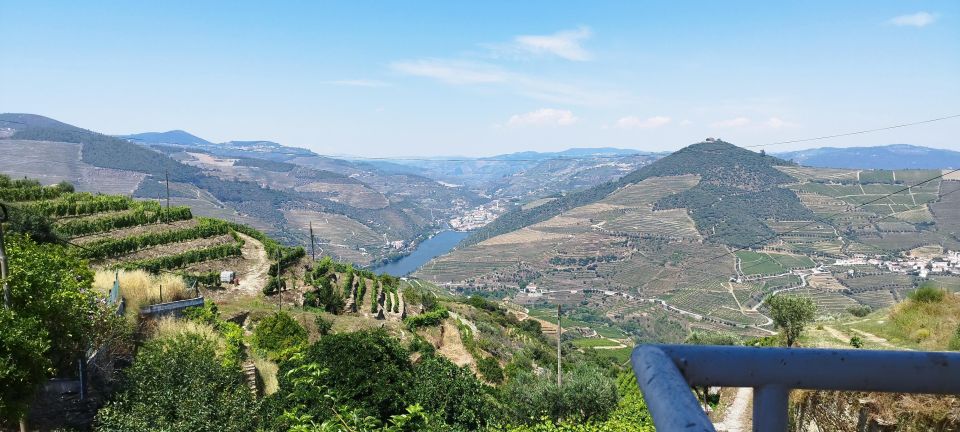 Douro Valley Tour With Wine Tasting Boat Cruise & Suprises.. - Booking and Tour Details