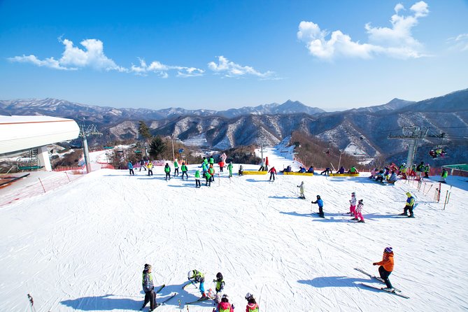 Elysian Gangchon Ski Resort With Nami Island Day Tour From Seoul - Inclusions and Options Explained