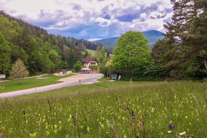 Exploring the Gutenstein Alps - Scenic Views and Landscapes