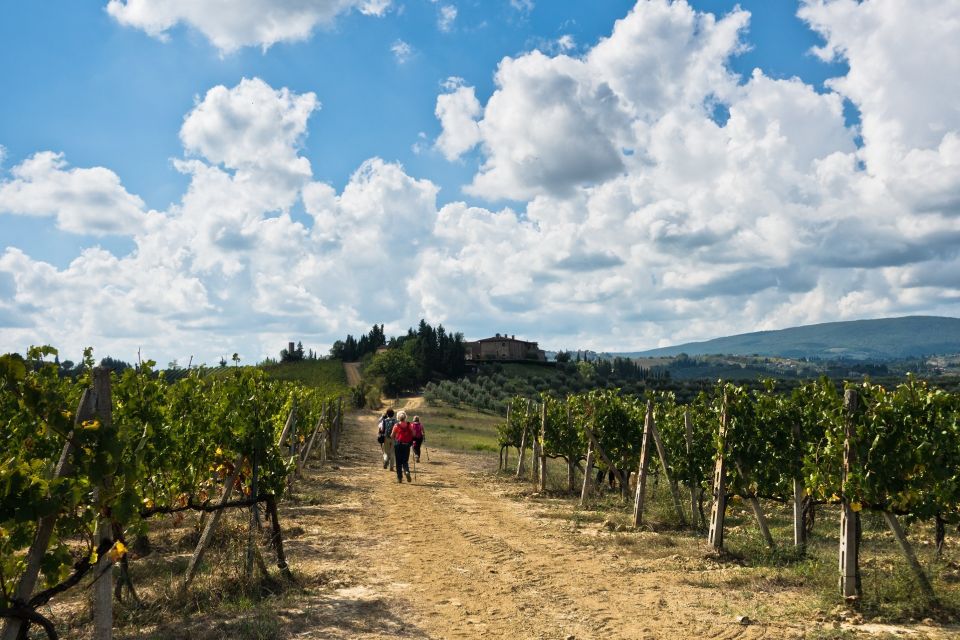 Florence: Private Full Day Tour to Chianti Wine Region - Tour Highlights