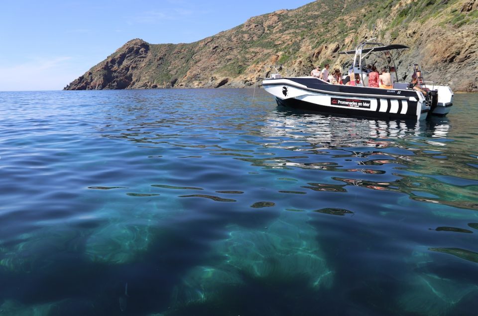 From Calvi: 2-Hour Sunset Cruise to Revellata Peninsula - Experience the Revellata Peninsula