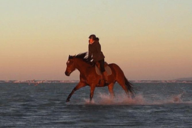 Gallop on Deauville Beach - Inclusions